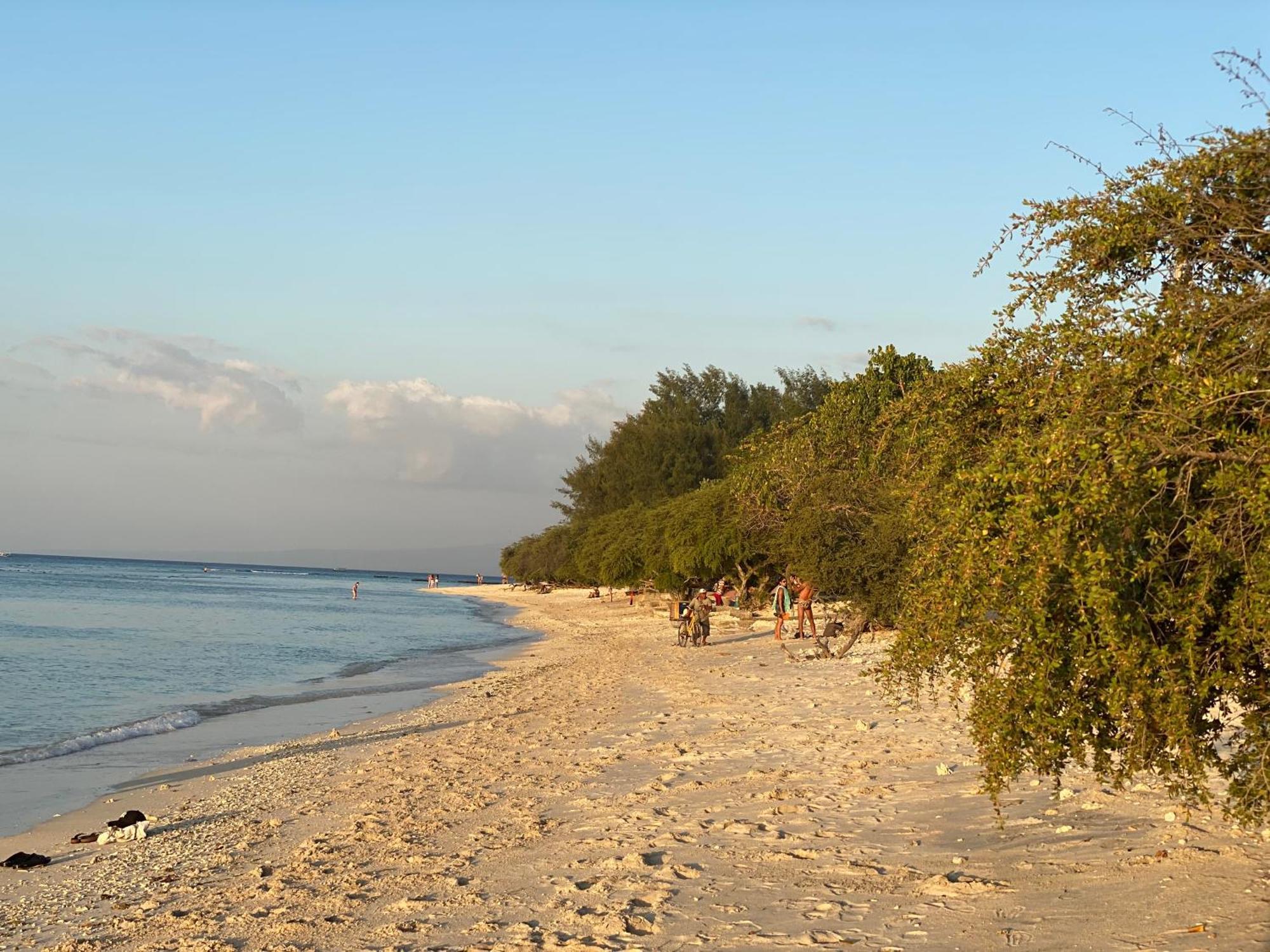 Villa Penyu Quần đảo Gili Ngoại thất bức ảnh