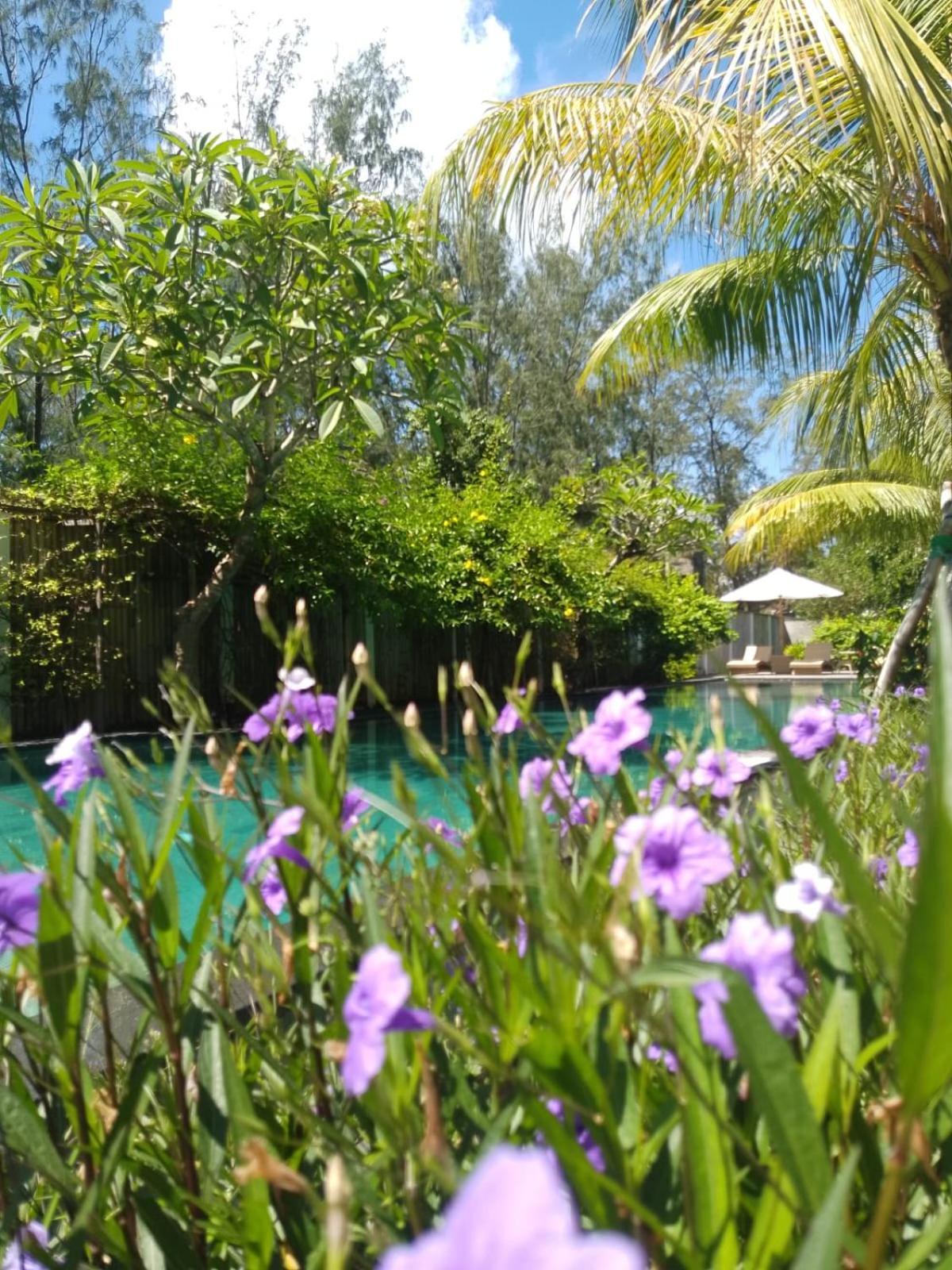 Villa Penyu Quần đảo Gili Ngoại thất bức ảnh